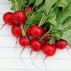 Escala Radish