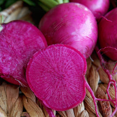 Wonderland Radish