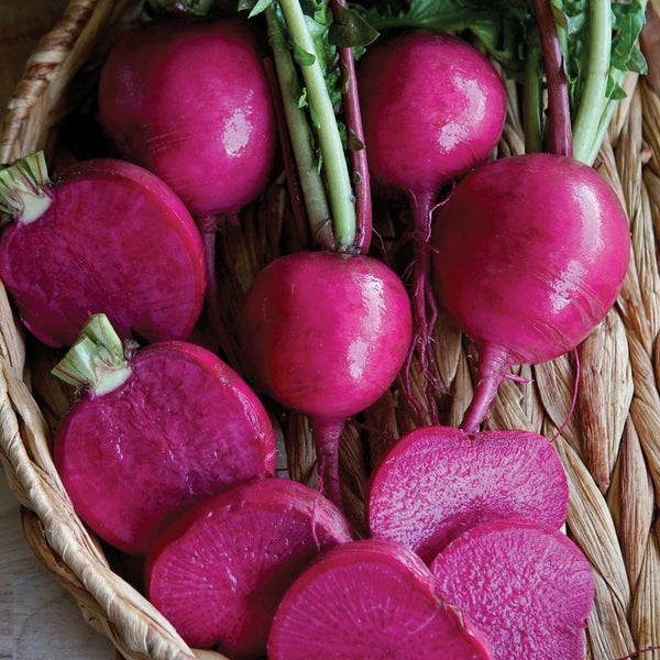 Wonderland Radish