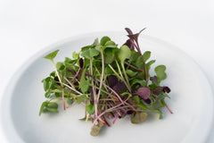 Radical Radish Mix