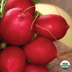 Radish, Champion Organic Seeds, 2.6g