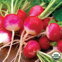 Radish, Sparkler Organic Seeds, 2.6g