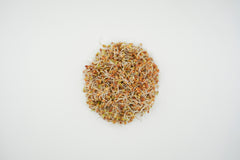 Red Clover Organic - Seedsplant