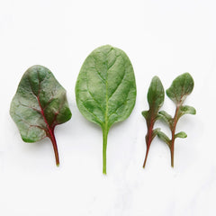 Supercharged Spinach Blend