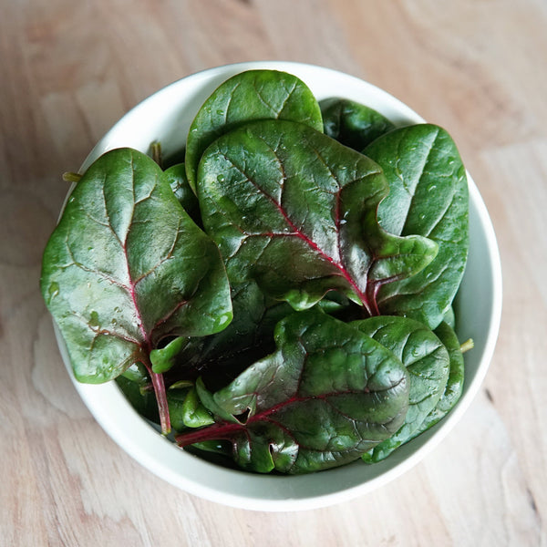 Red Tabby Spinach