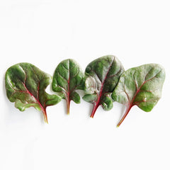 Red Tabby Spinach