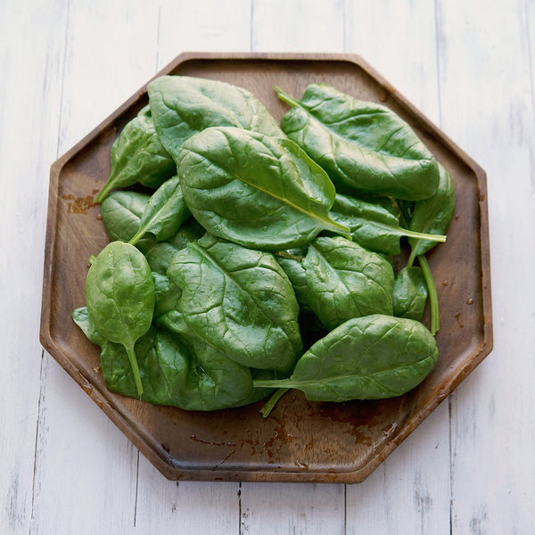 Olympia Spinach