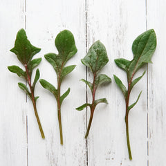 Red Snapper Spinach