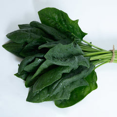 Imperial Valley Spinach
