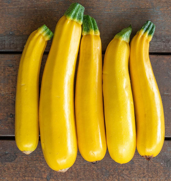 Goldy F1 Organic