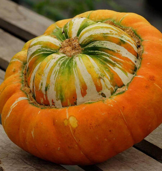 Turk's Turban
