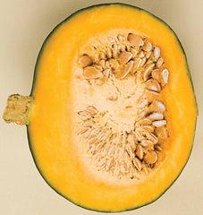 Sweet Mama Kabocha - Seedsplant