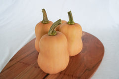 Butterbaby F1 Organic - Seedsplant