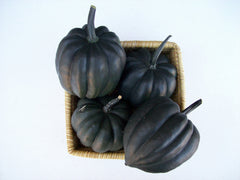 Black Bellota F1