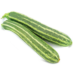 Dario Summer Squash