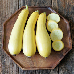 Smooth Criminal Summer Squash