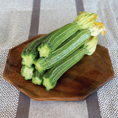 Latino Summer Squash