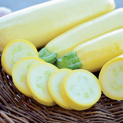 Chiffon Summer Squash