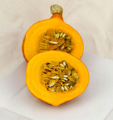 Shokichi Red Mini Kabocha - Seedsplant