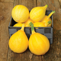 Lemon Summer Squash