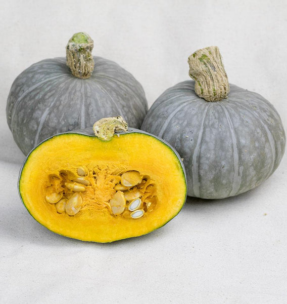 Shokichi Green Mini Kabocha