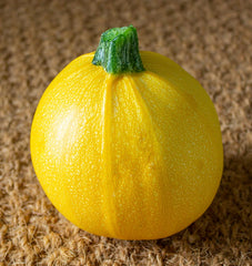 One Ball F1 - Seedsplant