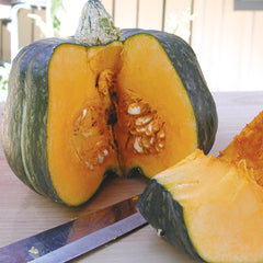 Buttercup Winter Squash