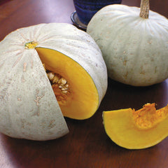 Sweet Meat Winter Squash
