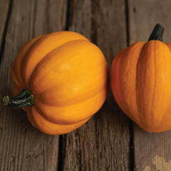 Goldilocks Winter Squash