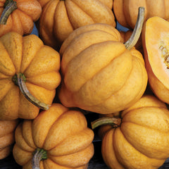 Thelma Sanders' Sweet Potato Winter Squash