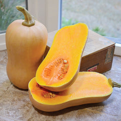 Havana Winter Squash