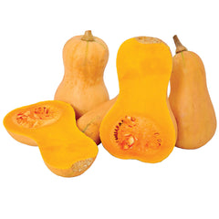 Hunter Winter Squash