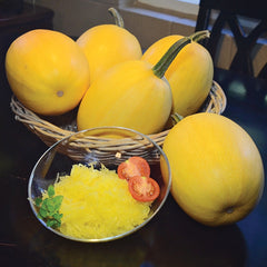 Small Wonder Winter Squash