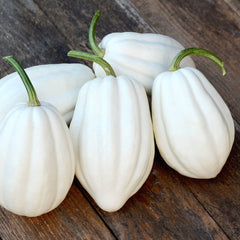 Mashed Potatoes Winter Squash