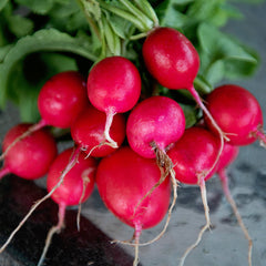 Sora Radish