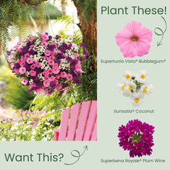 Supertunia Vista® Bubblegum® II Petunia