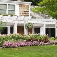 Limited Edition Royale™ | Supertunia Vista® Bubblegum® II Petunia