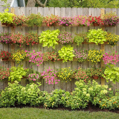 Supertunia Vista® Paradise Petunia