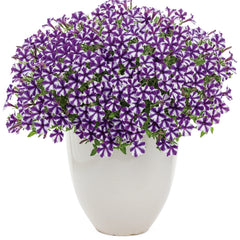 Supertunia Mini Vista® Violet Star Petunia