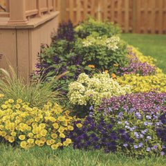 Supertunia Mini Vista® Yellow Petunia
