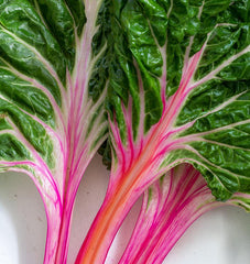 Peppermint Chard - Seedsplant