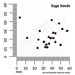 Sage Organic Seeds, 700mg
