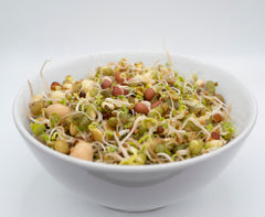 Salad Sprouting Seeds Organic - Seedsplant