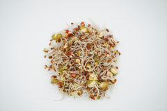 Sandwich Booster Mix Organic - Seedsplant