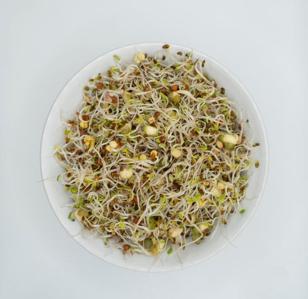 Sandwich Booster Mix Organic