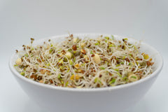 Sandwich Booster Mix Organic - Seedsplant