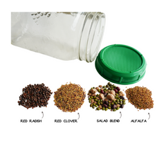 Fantastic Four Sprouting Collection - Seedsplant