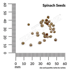 Spinach, Giant Noble Organic Seeds, 4.4g
