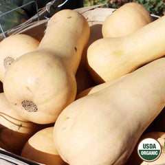 Squash, Waltham Butternut Organic Seeds, 5.3g