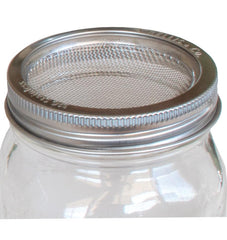 Stainless Steel Sprouting Ring - Seedsplant